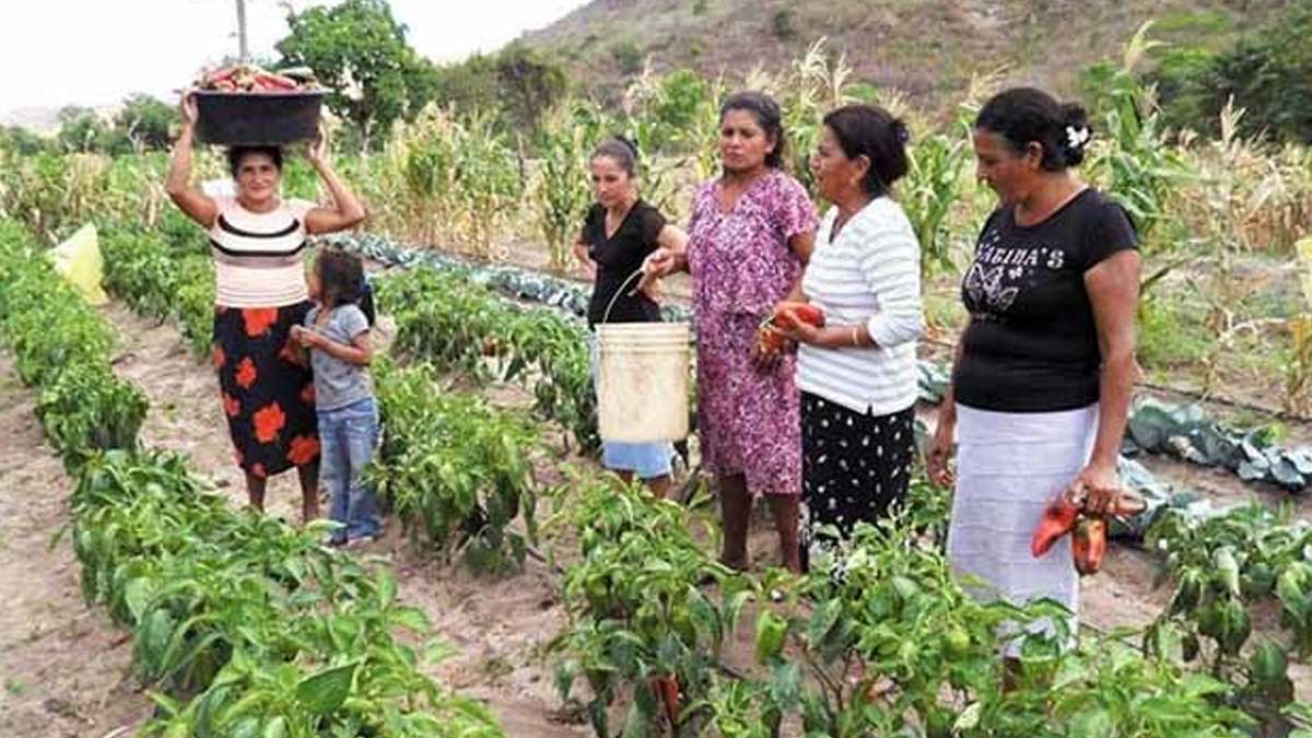 Casi el 70 % de las trabajadoras del sector agrario de Euskadi han sufrido actitudes sexistas