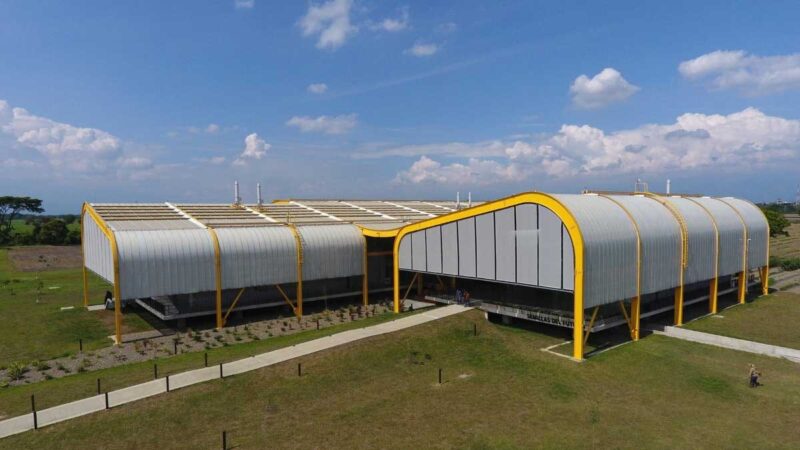 Colombia abre banco genético para conservar semillas de frijol, yuca y forrajes