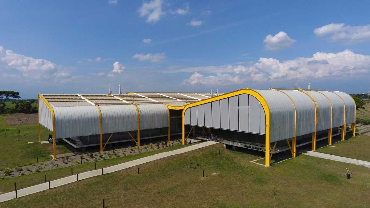 Colombia abre banco genético para conservar semillas de frijol, yuca y forrajes