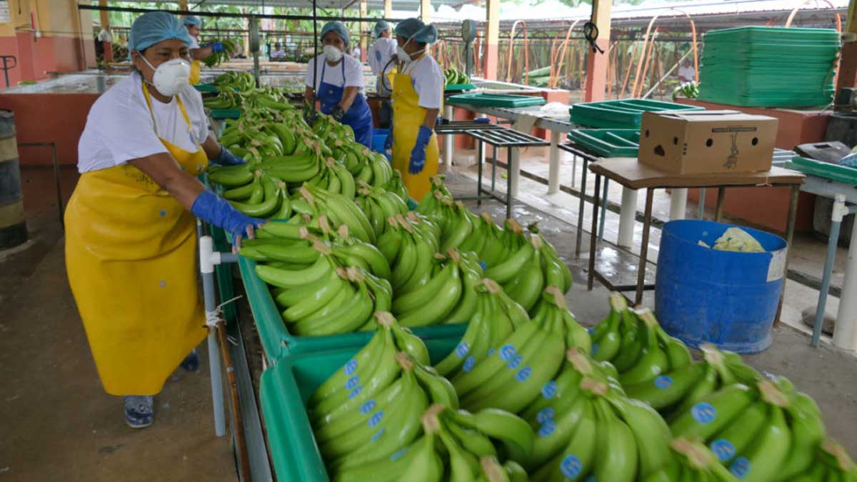 Con $ 85 millones en pérdidas en sector exportador por conflicto de Rusia y Ucrania, la mirada comercial está en China y Corea del Sur