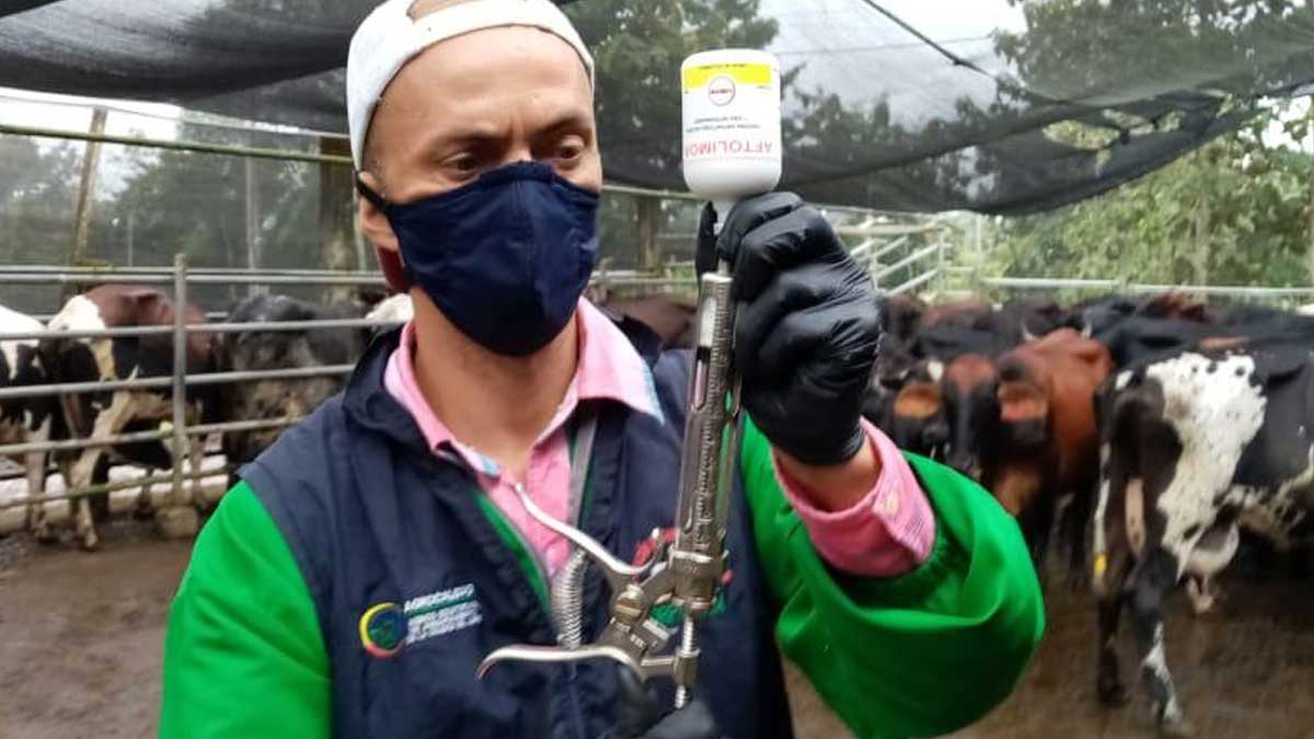 ECUADOR LIBRE DE AFTOSA SIN VACUNACIÓN AL 2025