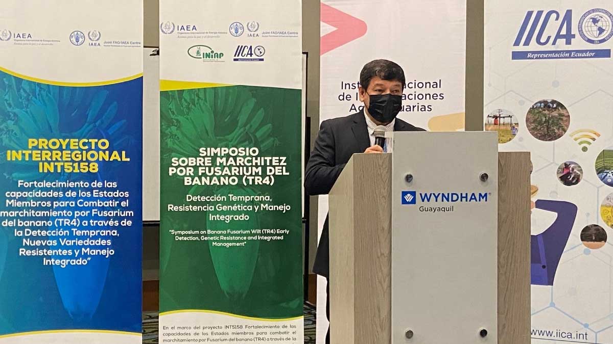 Ecuador es la sede del simposio sobre marchitez por fusarium del banano y lanzamiento del proyecto para combatir el Fusarium