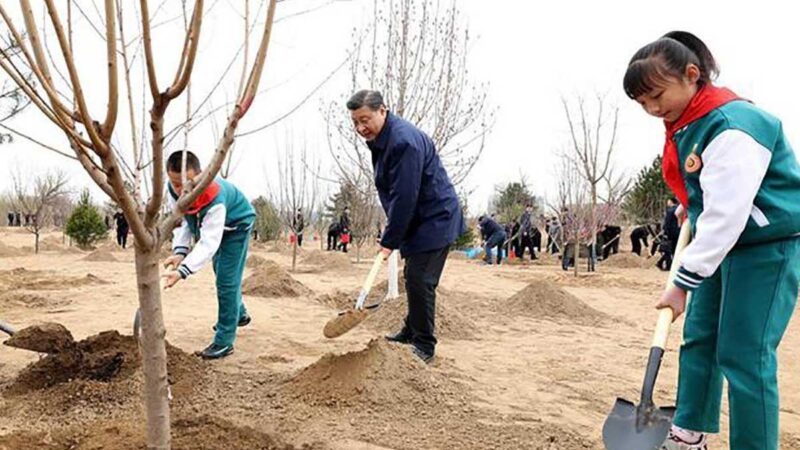 El presidente Xi Jinping insta a todos a participar en el proceso de construcción ecológica