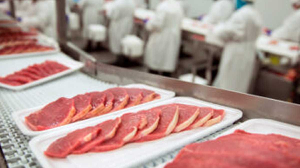 El sector cárnico nacional, ejemplo de productividad, integración e innovación: Agricultura