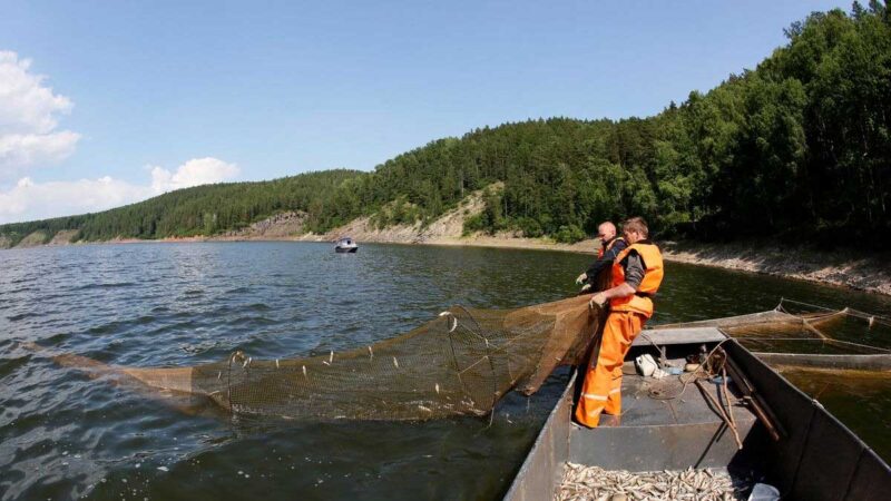 Estados Unidos prohibirá importación de alcohol y mariscos rusos: fuente