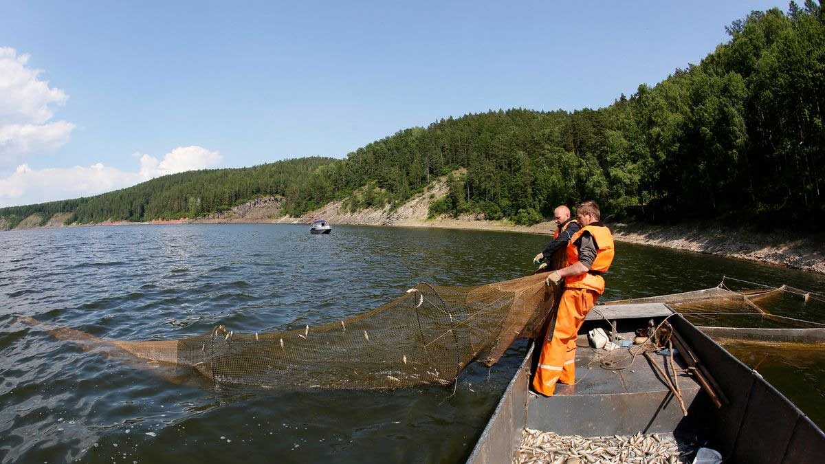 Estados Unidos prohibirá importación de alcohol y mariscos rusos: fuente