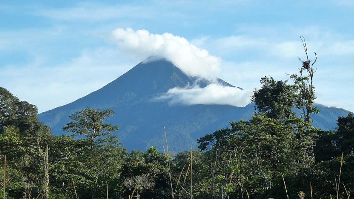 Estudio reveló la amplia biodiversidad de bacterias de los suelos del volcán Sumaco