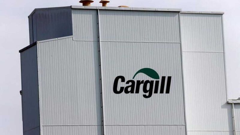 Gigante de alimentos Cargill comprará participación de $290 millones en productor de salmón de Chile    