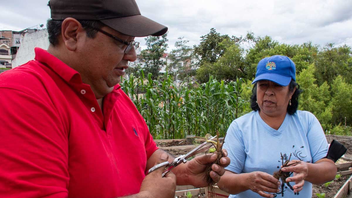 Productores de la parroquia Plan Piloto fueron parte de la Jornada de Capacitación ‘Gestión de envases vacíos de agroquímicos’.