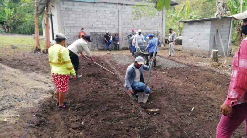 Importantes avances registra Plan Colmena