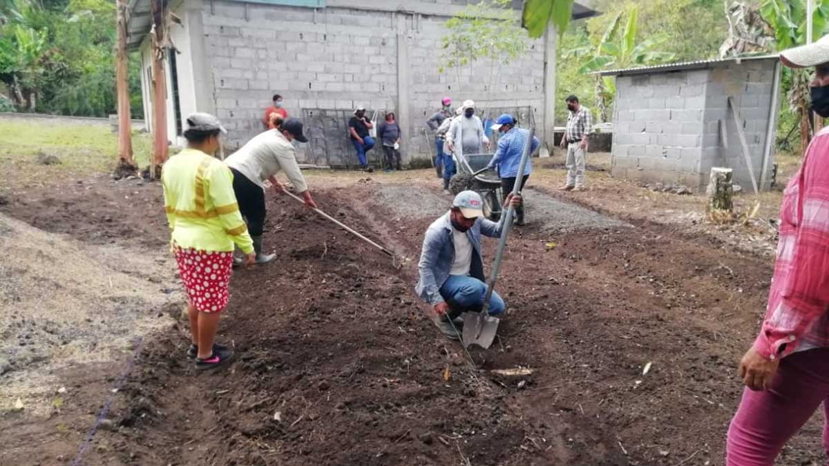 Importantes avances registra Plan Colmena