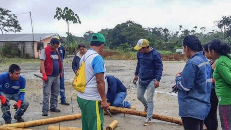 Impulsan la construcción con Bambú