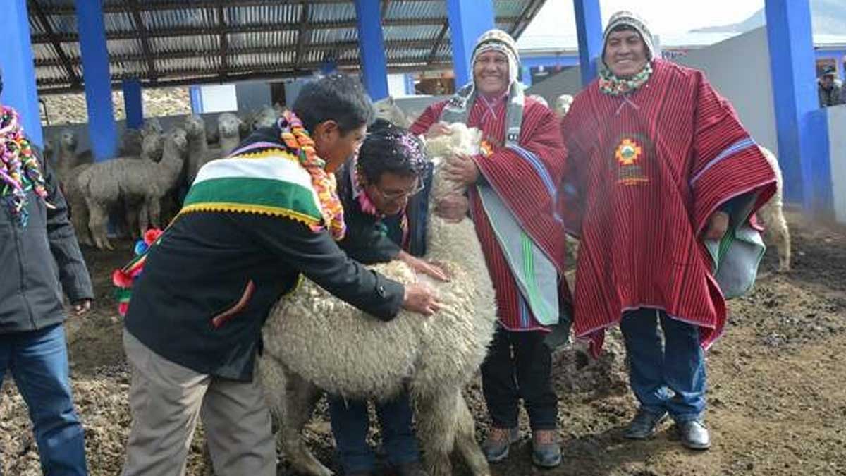 Puno: inauguran Centro de Reproducción de Reproductores en Acora