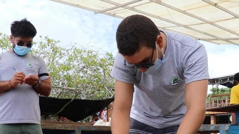 Inicia la pesquería de langostino en Galápagos