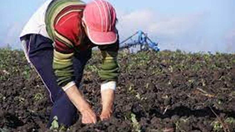 La institucionalidad agropecuaria, comparte sus actividades por el Mes de las Mujeres