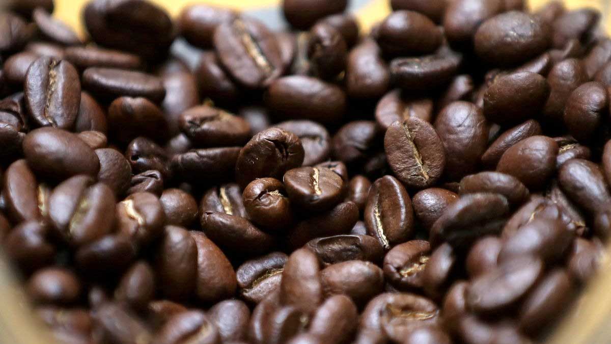 Las exportaciones de café de Uganda se desploman un 20 % en febrero debido a que la sequía reduce los rendimientos