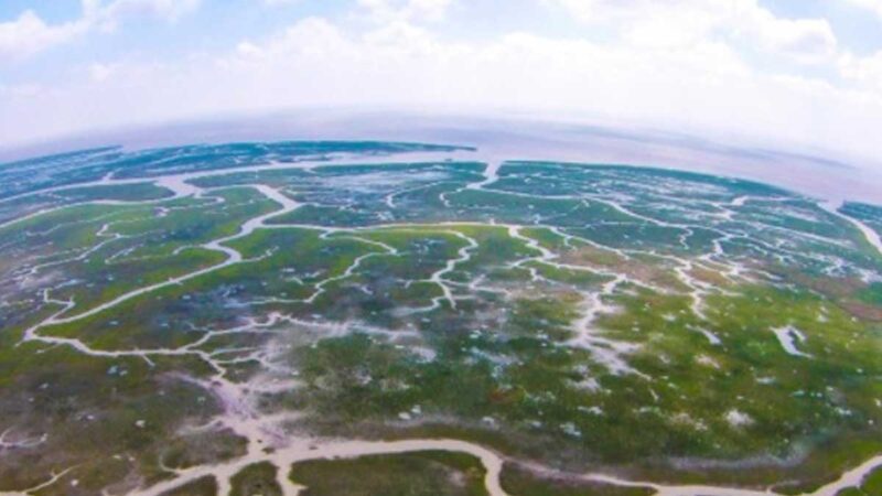 Ley de Humedales de China busca promover la protección del medio ambiente