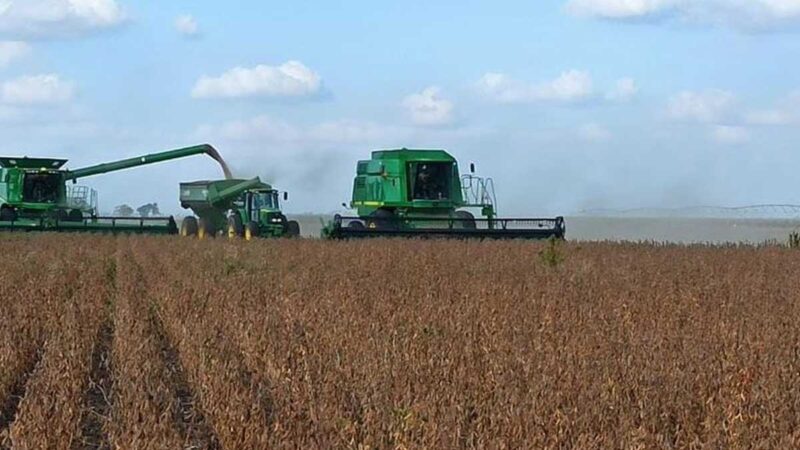 Los ingresos agrícolas de EE. UU. podrían verse impulsados por el repunte de los cereales: Fed de Chicago