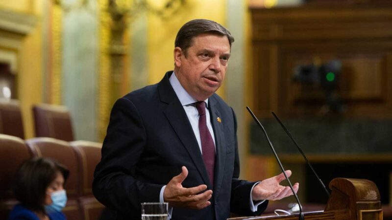 Luis Planas asegura que el Gobierno ha adoptado medidas del mayor significado y peso positivo para el medio rural