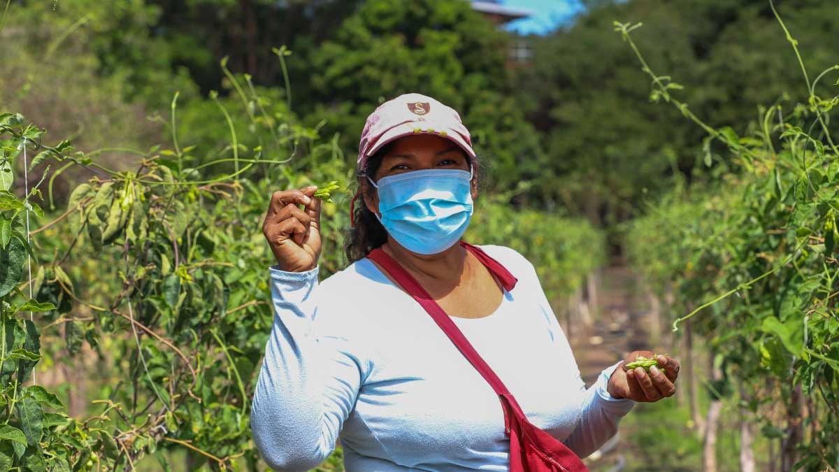 MAG promueve negociaciones entre pequeños productores de loroco y empresa exportadora
