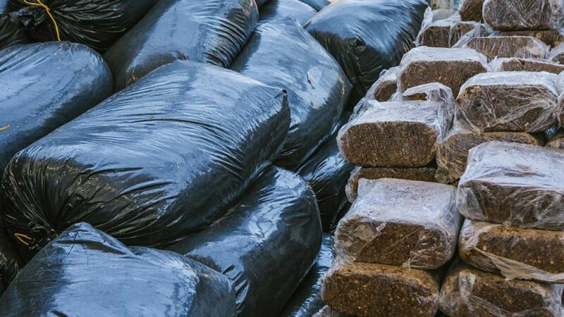 Más de 20 mil pequeños ganaderos se han beneficiado con el programa del Gobierno de entrega de alimentación bovina