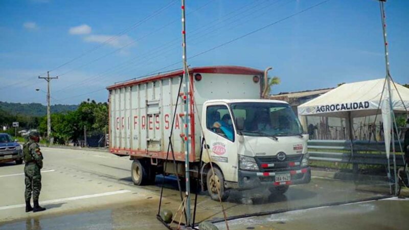 Más de 8 millones destinados a prevención de Fusarium R4T