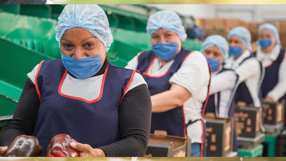 Más de 992 mil mujeres trabajan en el sector primario del país