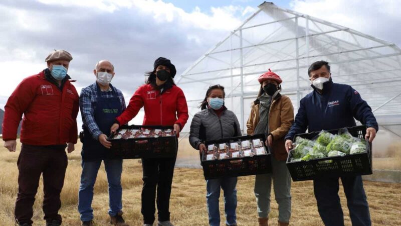 Ministra Undurraga por cooperativa agrícola Campos de Hielo: “Esta iniciativa va mucho más allá de la producción de alimentos, también conecta con el bienestar de las familias”