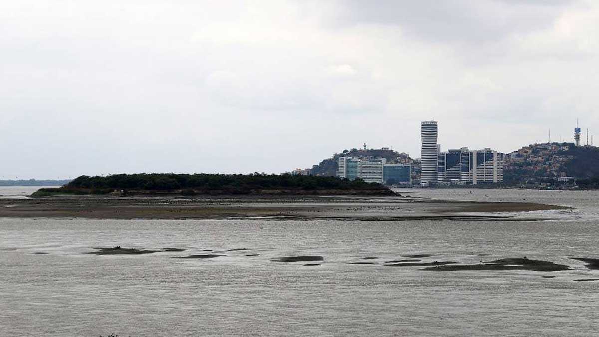 Prefectura del Guayas anuncia que suspensión de proceso para el dragado se levantará próximamente; Sercop acogió descargos presentados ante reclamos