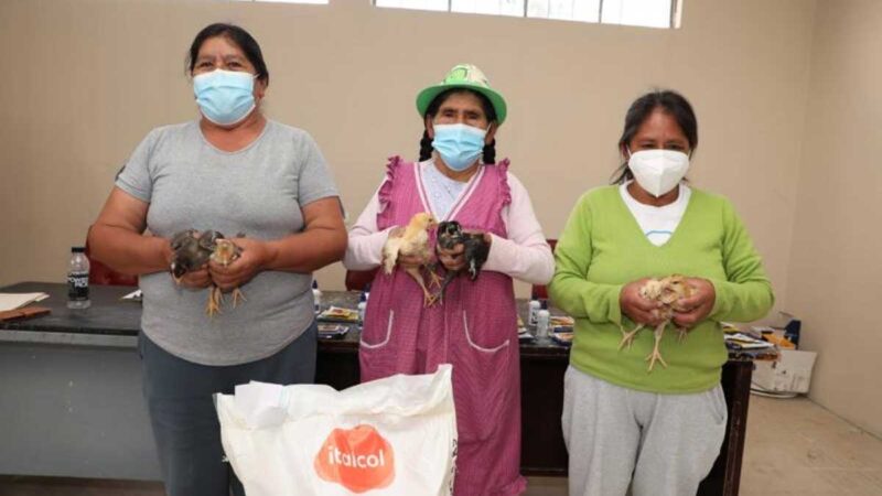 Prefectura fomenta el desarrollo productivo con entrega de pollos