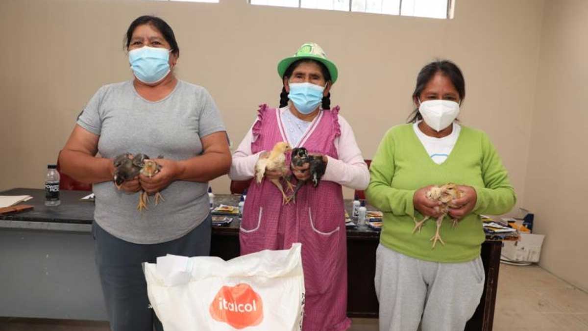 Prefectura fomenta el desarrollo productivo con entrega de pollos