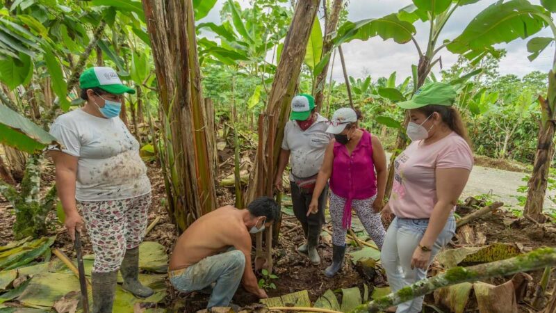 La Prefectura de Manabí realizó la entrega de plantas forestales en la comunidad La Valencia – El Rosario