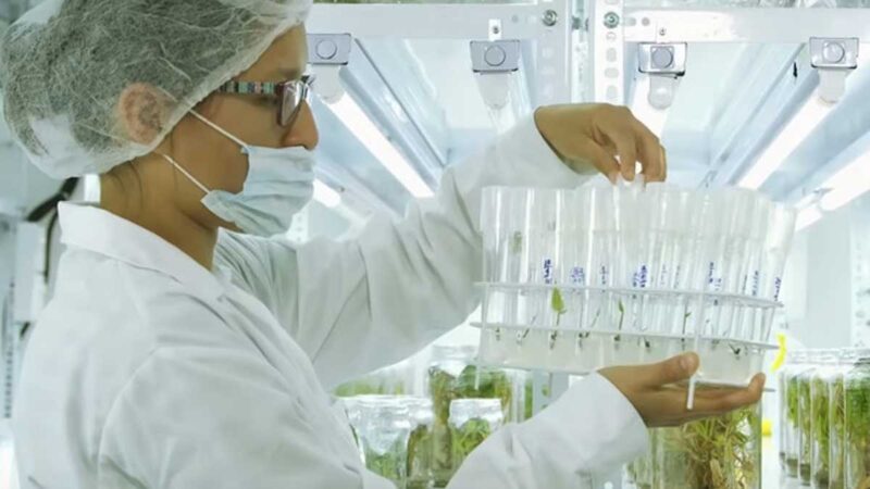 ProCiencia financiará con hasta S/ 427 mil soles proyectos de I+D+I