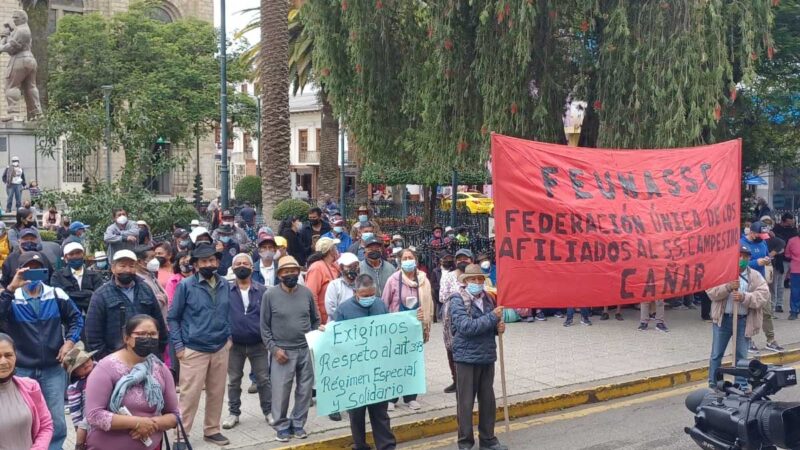 Campesinos buscan animal salvaje que está matando a ovejas