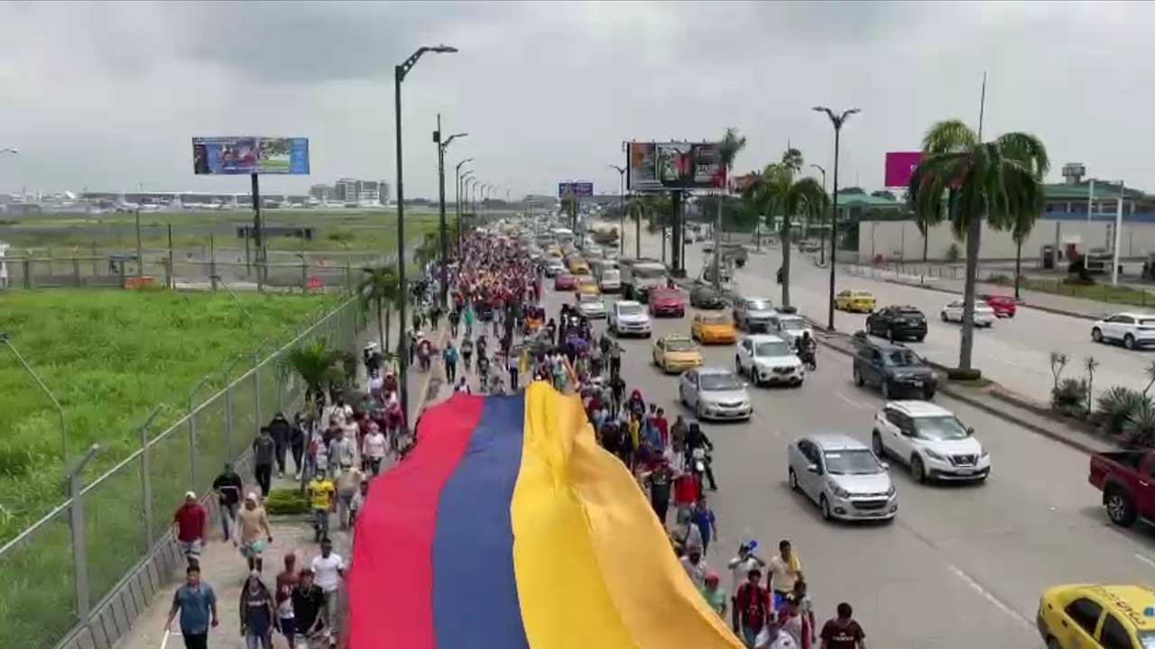 Bananeros de los Ríos, El Oro y Guayas exigen  al gobierno acciones ante la crisis por sobreoferta