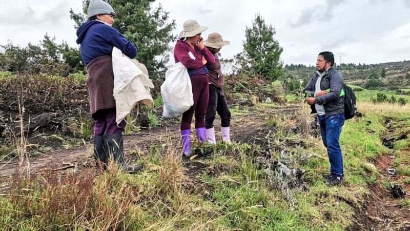 Productores de Saraguro se capacitan en el manejo del cultivo de papa