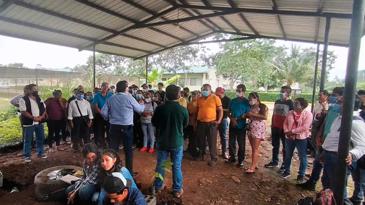 Productores participaron de la gira de observación en oferta tecnológica y materiales de cacao en la Joya de los Sachas
