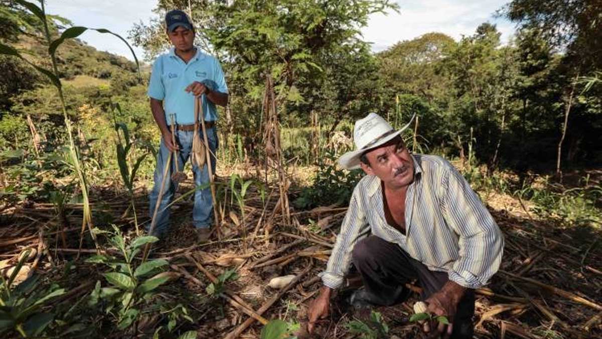 Reducir la quema agropecuaria en 40 por ciento, meta de Agricultura para 2024