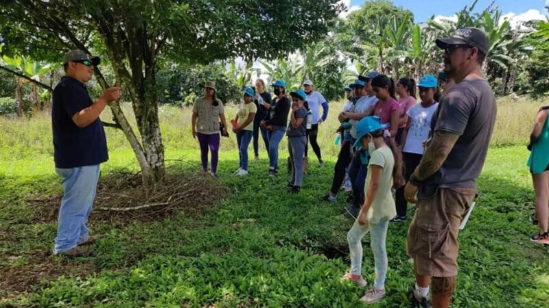 Se ejecutan varias actividades en el campamento vacacional de niños