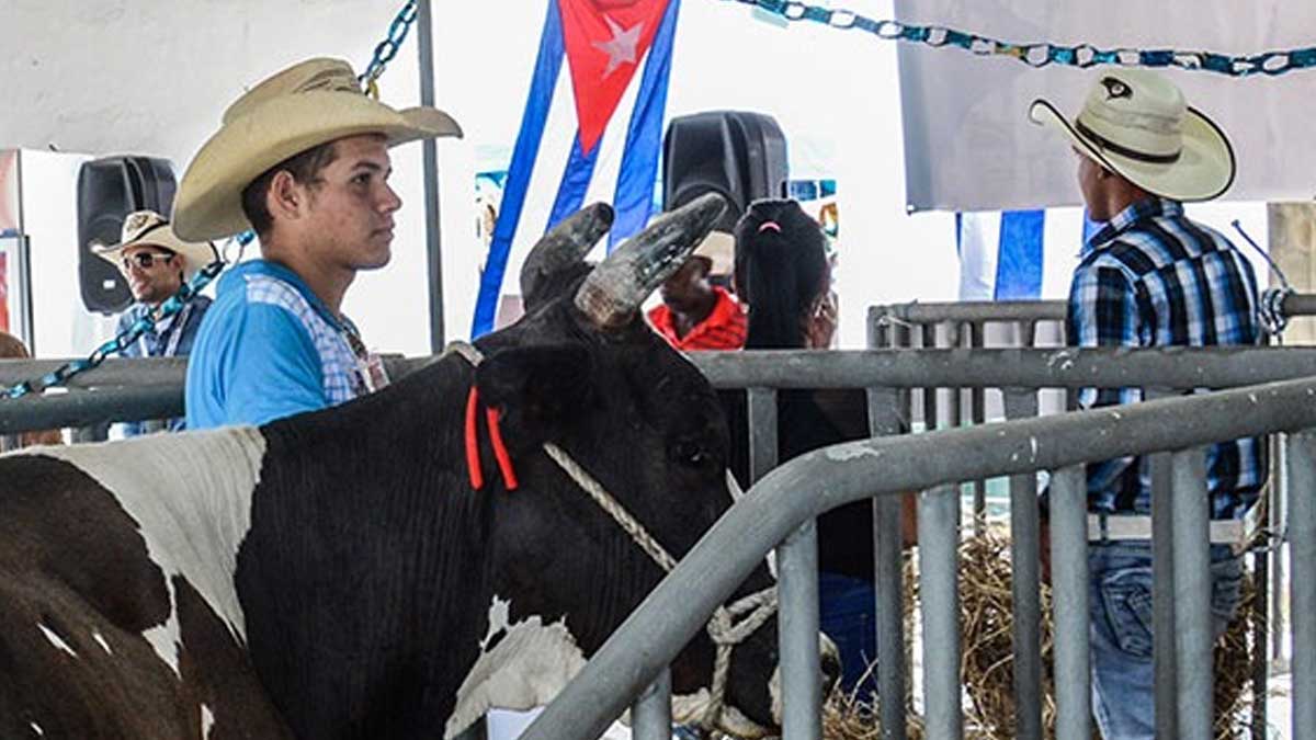 Lanzamiento de XXIII Edición de la Feria Internacional Agroindustrial Alimentaria