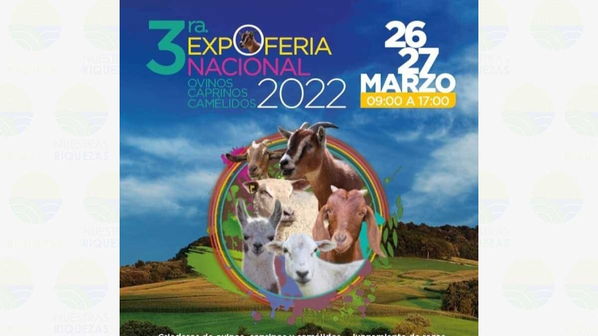 Tercera Expoferia Nacional: Ovinos, Caprinos y Camélidos 2022