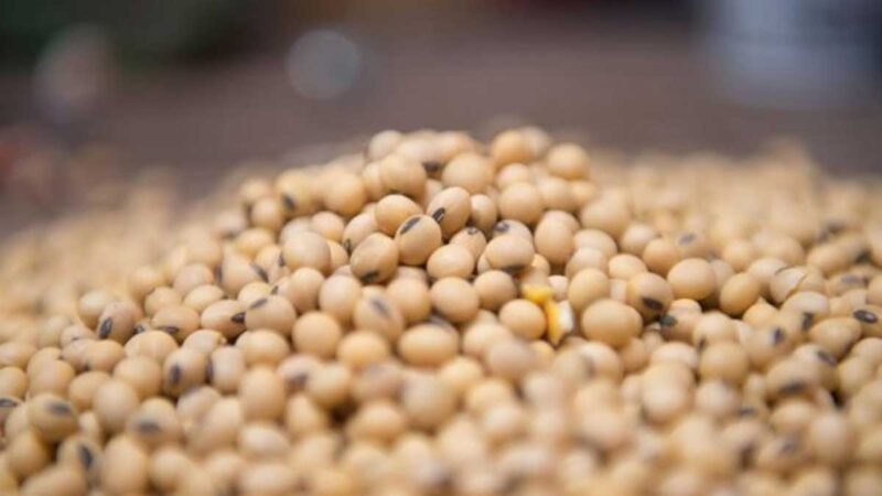 Xi Jinping publicará un artículo importante sobre agricultura en la revista ‘Qiushi’