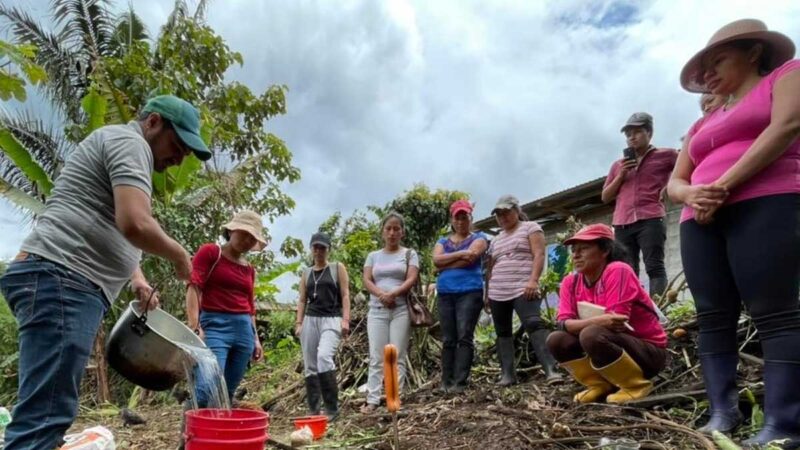 Biol, alternativa orgánica para nutrir y desarrollar los cultivos