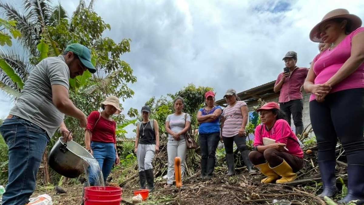 Biol, alternativa orgánica para nutrir y desarrollar los cultivos