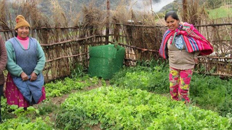 Campaña Abril Verde e Amarelo entrega títulos de propiedad rural