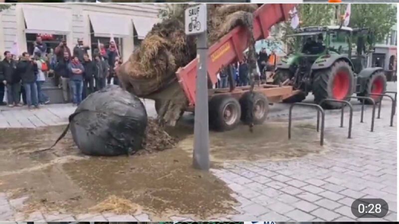 Centenares de granjeros protestan por el aumento del costo de producción de alimentos