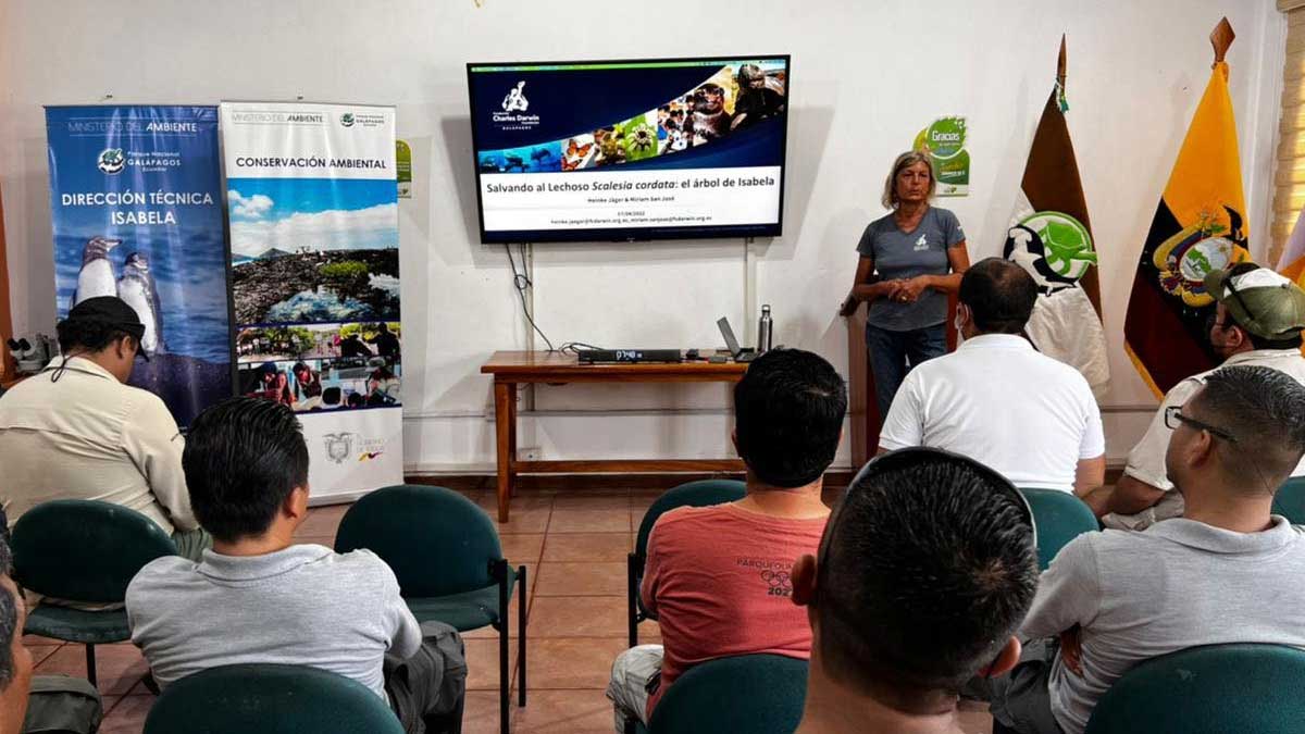 Científicos presentan acciones de recuperación de los bosques de Scalesia cordata