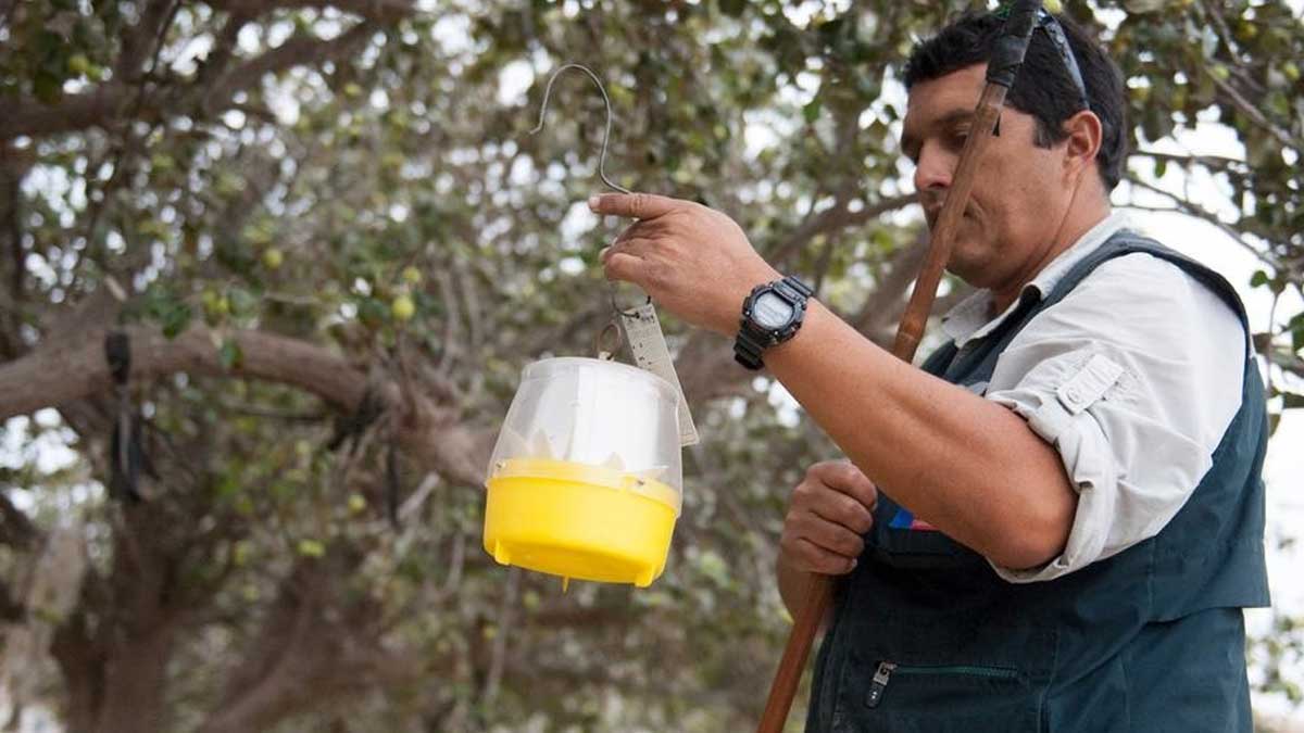 Cumbre Fitosanitaria impulsa la seguridad alimentaria y garantiza la salud humana