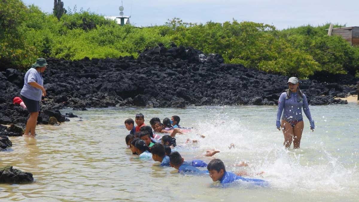 Estudiantes aprenden a monitorear tortugas marinas