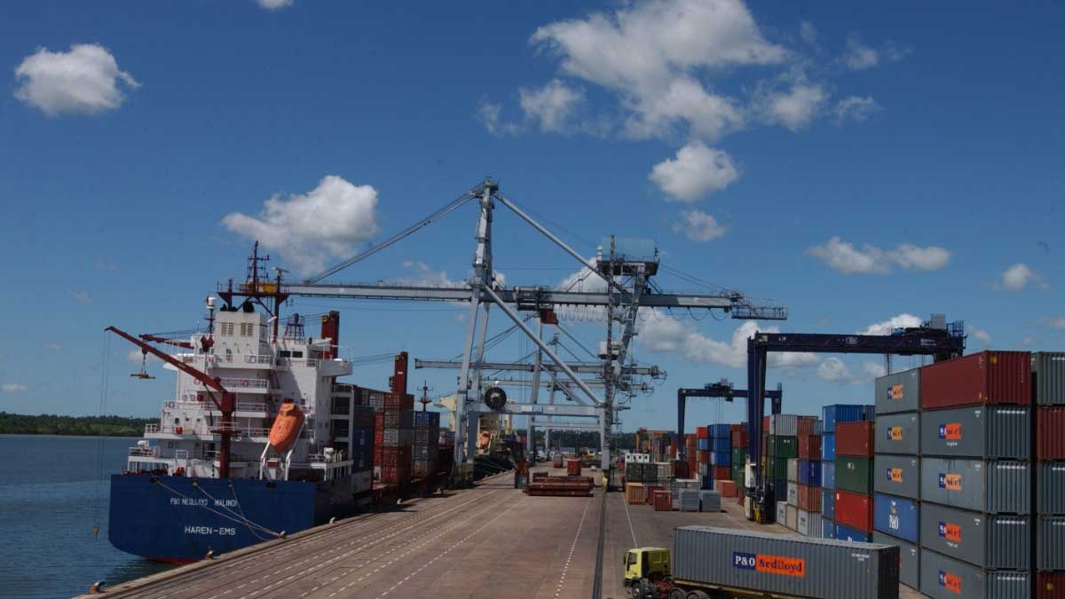 FAO solicita en la reunión del G-20 un fondo de financiación de las importaciones para los países más pobres